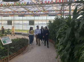 黃瓜小鎮(zhèn)的神秘客人 農(nóng)業(yè)科學(xué)研究和試驗(yàn)發(fā)展的新篇章