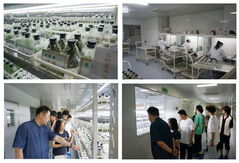 紅旅拓溫控新材，綠能護(hù)沃野生機(jī)——化學(xué)與環(huán)境工程學(xué)院赴南陵大浦現(xiàn)代農(nóng)業(yè)試驗(yàn)區(qū)開(kāi)展“青年紅色筑夢(mèng)之旅”活動(dòng)紀(jì)實(shí)