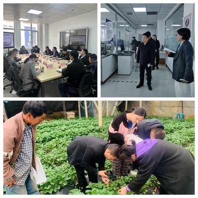 實干苦干，一體推進(jìn)學(xué)院高質(zhì)量發(fā)展 大連民族大學(xué)的農(nóng)業(yè)科學(xué)研究與試驗發(fā)展之路