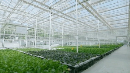 國家農(nóng)業(yè)科技園園藝創(chuàng)新中心正式開園 賦能農(nóng)業(yè)科學(xué)研究與試驗發(fā)展