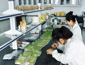 中農(nóng)立華董事長(zhǎng)蘇毅 以“種子+農(nóng)藥”業(yè)務(wù)協(xié)同發(fā)展引領(lǐng)農(nóng)業(yè)科學(xué)新未來